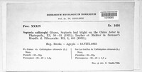 Image Associated With the Occurence